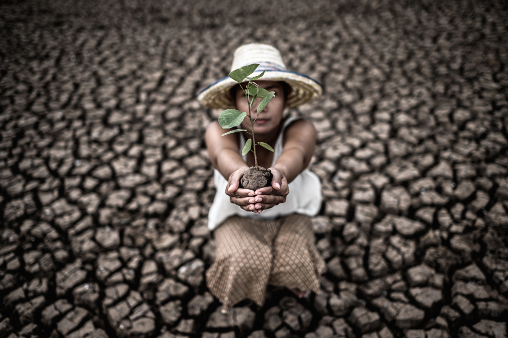 Global Climate Crisis: The Urgency is Great