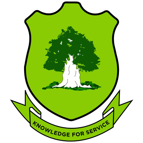 UNIVERSITY FOR DEVELOPMENT STUDIES